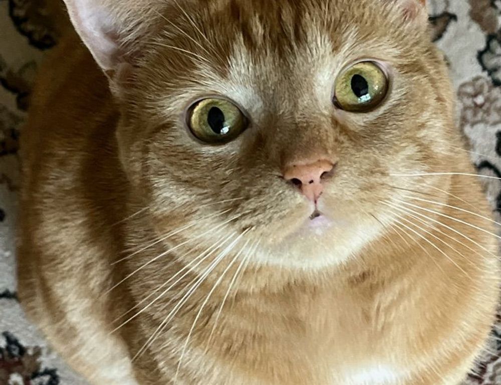 cardio vs weight training fntkgym