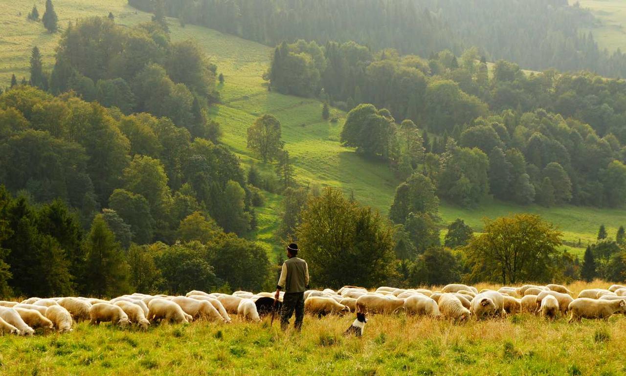 departure time fight sd1555958a