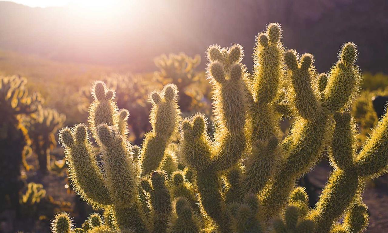 fntkgym gym tips by fitnesstalk