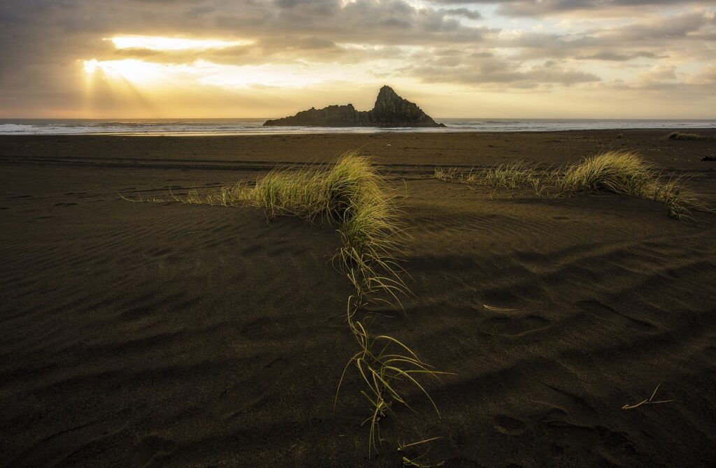 results 2022 sffaresports