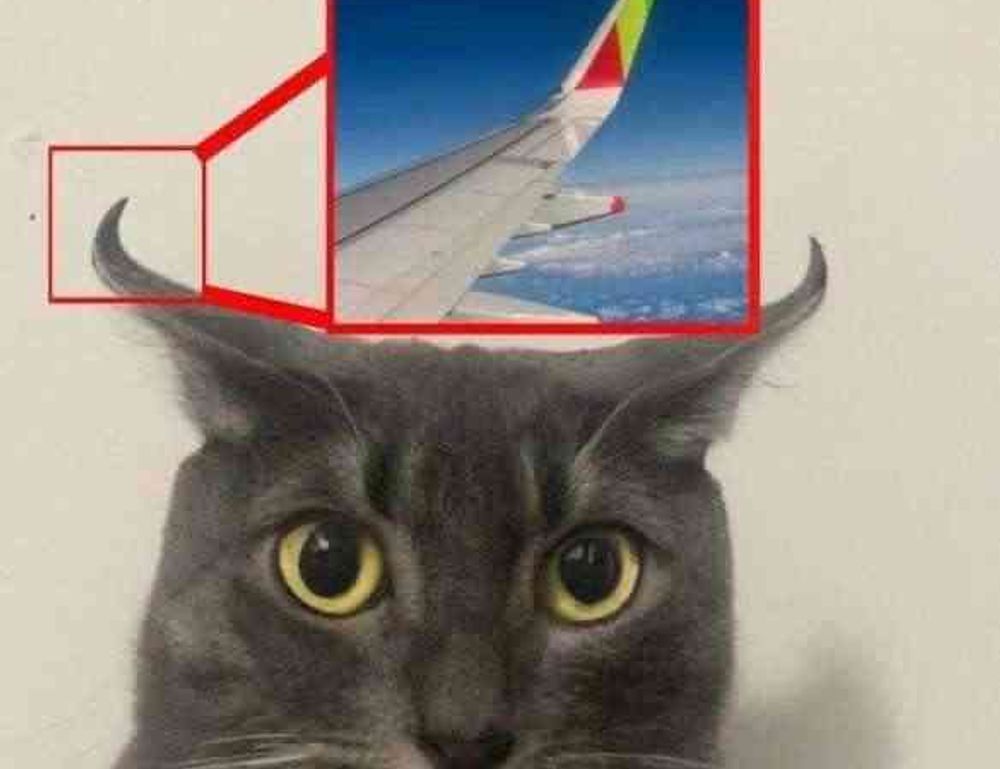 sffareboxing fixtures from sportsfanfare