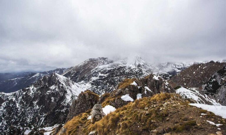 sffareboxing statistics 2022