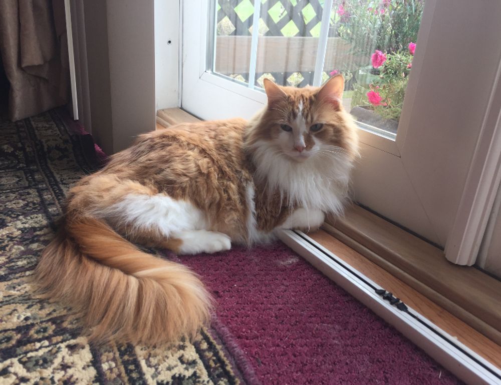 which pre workout should i buy fntkgym