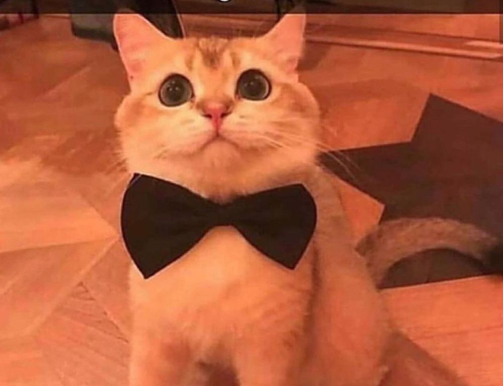 why can't i open a game marshock200 on pc