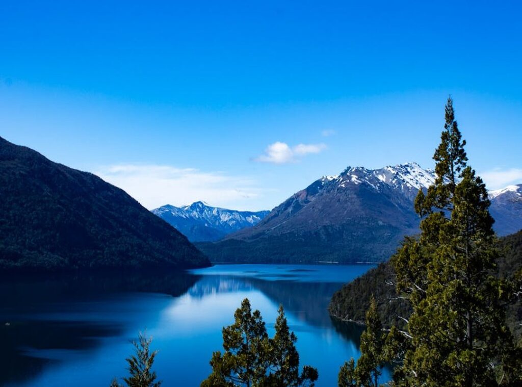 paisaje fondo bluey