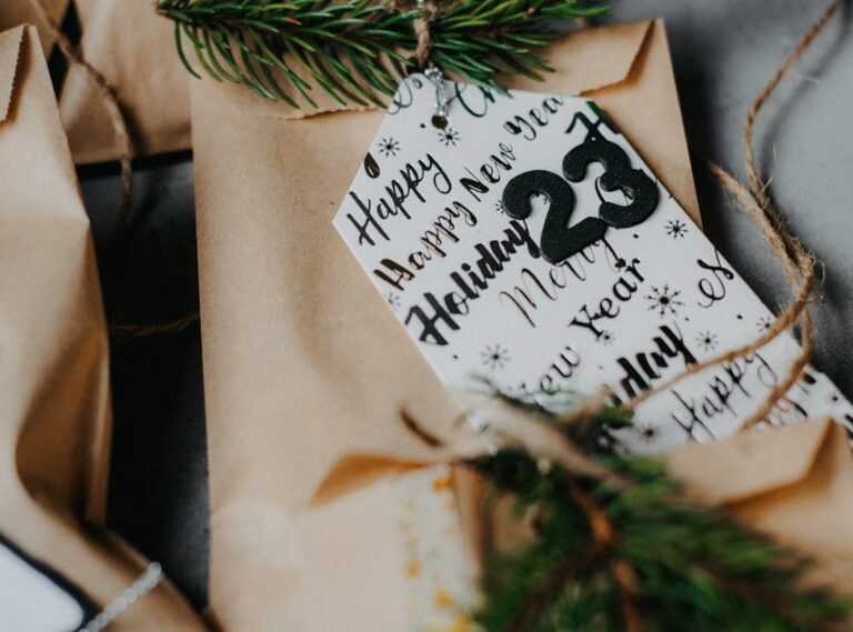 xxv xxviii xxix 2023