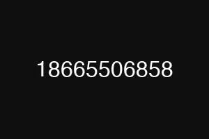 18665506858