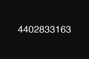4402833163