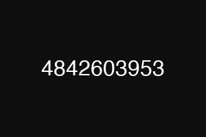 4842603953