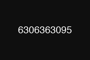 6306363095