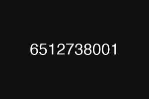 6512738001