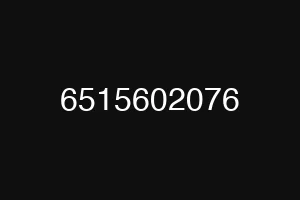 6515602076