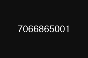 7066865001