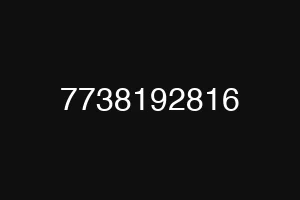 7738192816