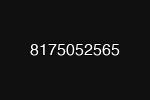 8175052565