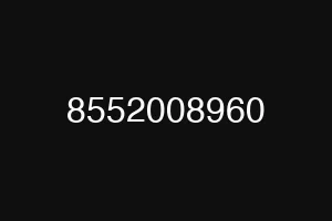 8552008960
