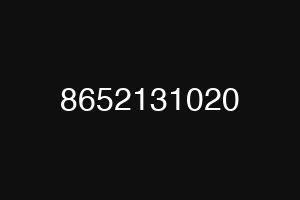 8652131020
