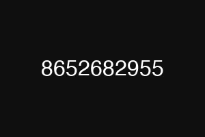 8652682955