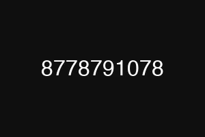 8778791078