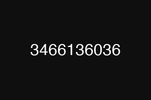 3466136036