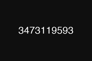 3473119593