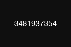 3481937354