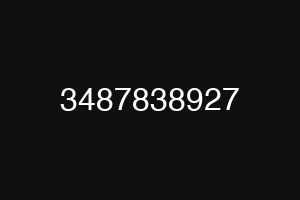 3487838927
