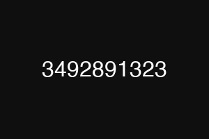 3492891323