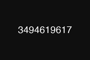 3494619617