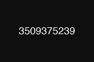 3509375239