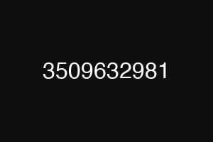 3509632981
