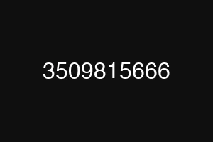 3509815666