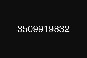 3509919832