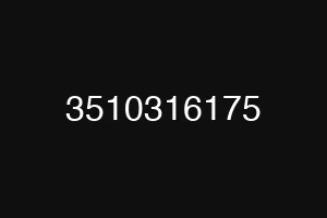 3510316175