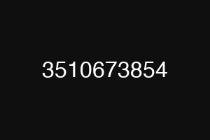 3510673854