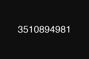 3510894981