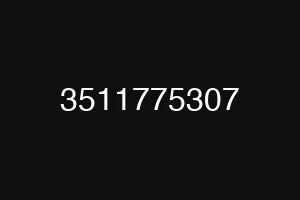 3511775307