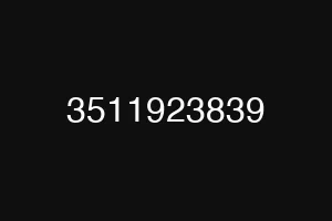 3511923839