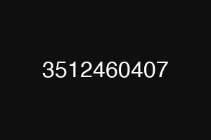 3512460407