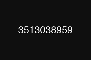 3513038959