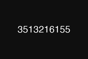 3513216155