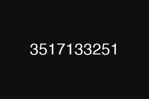 3517133251