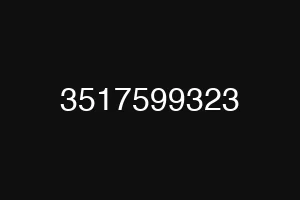 3517599323