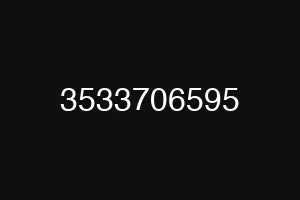 3533706595